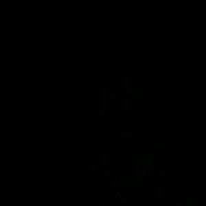 Meet your Posher, Dylan